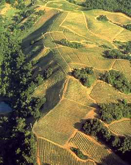  MtVeeder vineyards 269.jpg 